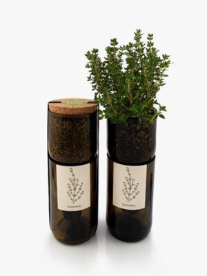 grow bottle - piante aromatiche indoor - R nel bosco