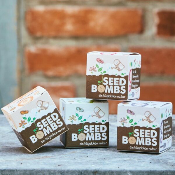 bomba di semi in scatola - seedbomb in a box - R nel bosco